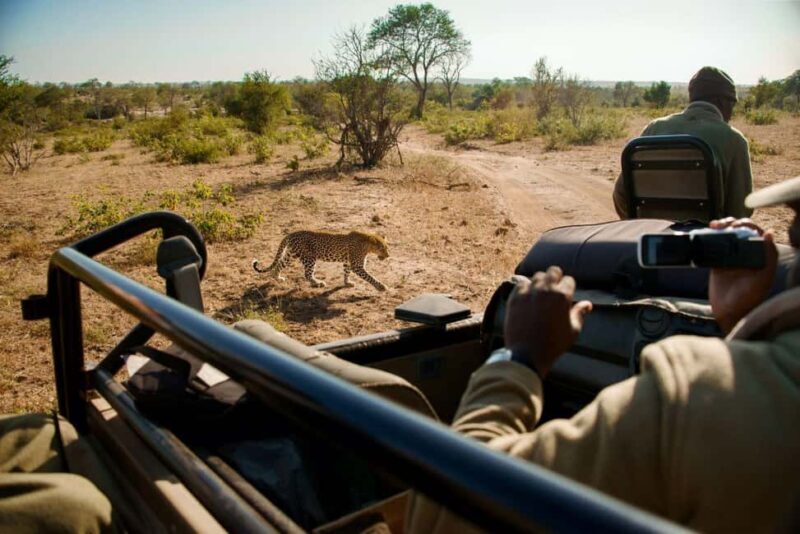 Johannesburg: Soweto, Dinokeng Culture and Wildlife Day Trip - Why You Should Consider This Tour