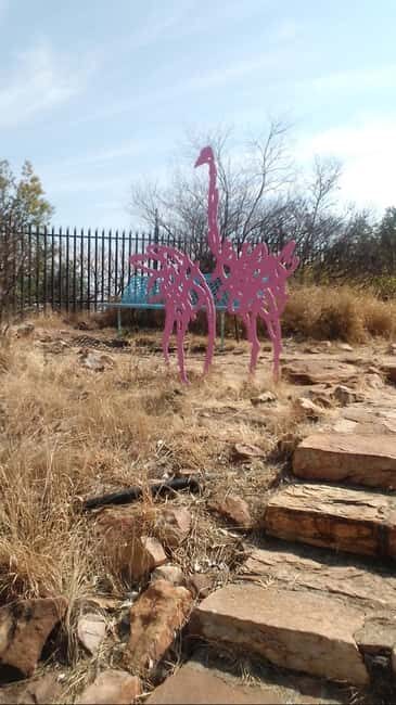Johannesburg: The Wilds Nature Reserve Hike - What to Expect on the Tour