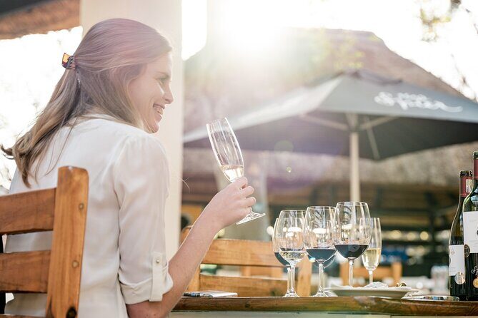 Johannesburg: Wine Tasting and Cableway Half Day Tour - Johannesburg: Wine Tasting and Cableway Half Day Tour — A Complete Guide