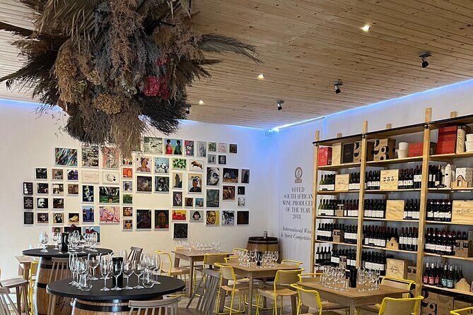 Johannesburg: Wine Tasting and Cableway Half Day Tour - Who Will Enjoy This Experience?