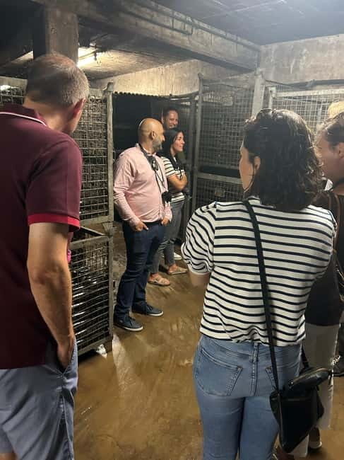 Johannisberg Rheingau: Wine tasting with cellar tour and hike - Key Points  