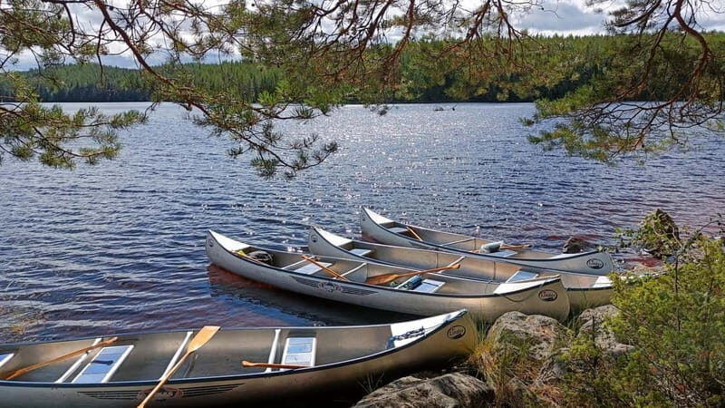 Johannisholm: Guided Canoe Tour on Lake Venjanssjön - A Detailed Look at the Canoe Experience