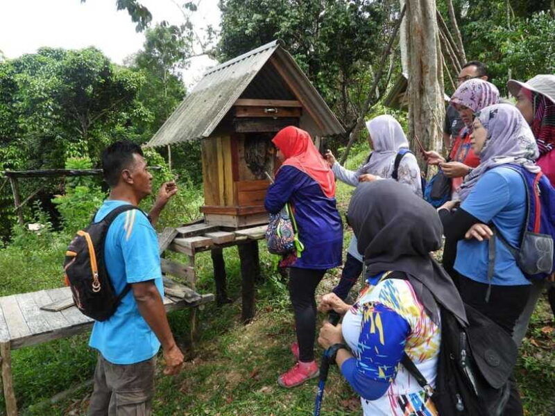 johor-belungkor-hill-hiking-tour