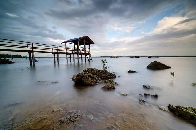 Johor Day Tour - Ostrich Farm, Beach, Waterfall, Fireflies [Car] - Who Should Consider This Tour?
