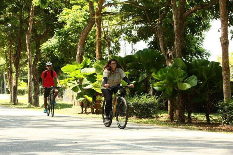 johor-desaru-coast-cycling