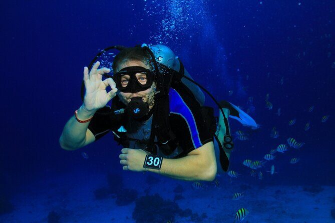 Join our Daily Diving Trip with 2 dives Transfer & Lunch-Hurghada - What to Expect from the Daily Diving Trip