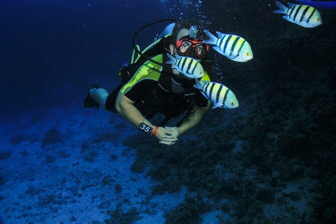 Join our Daily Diving Trip with 2 dives Transfer & Lunch-Hurghada - Final Thoughts