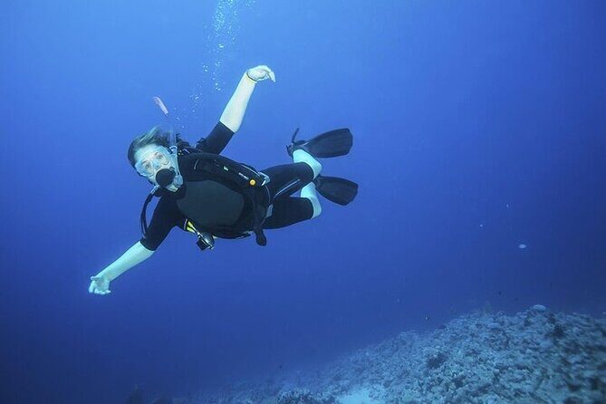 Join our Daily Diving Trip with 2 dives Transfer & Lunch-Hurghada - FAQs