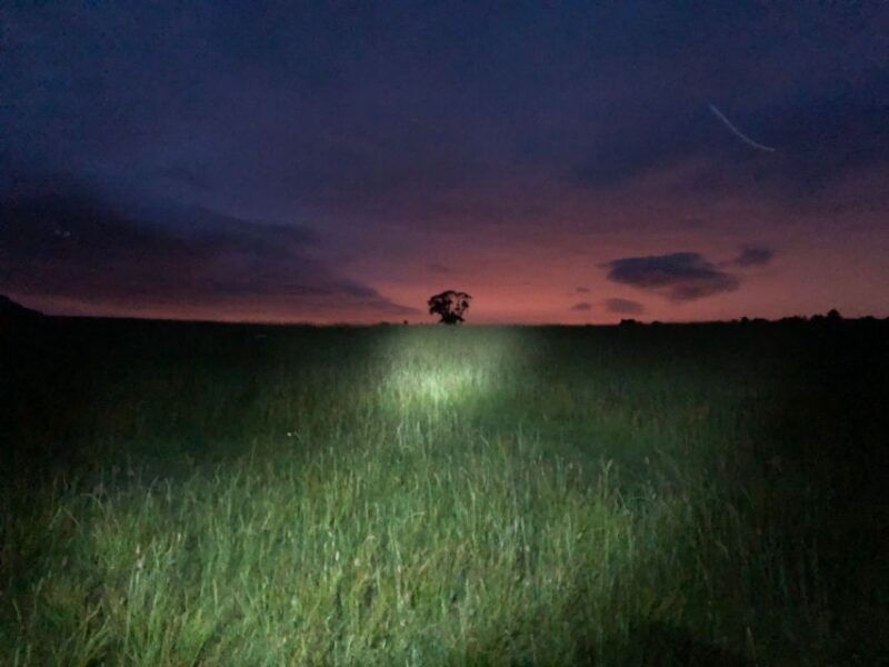 join-the-dark-side-of-magical-nature-2