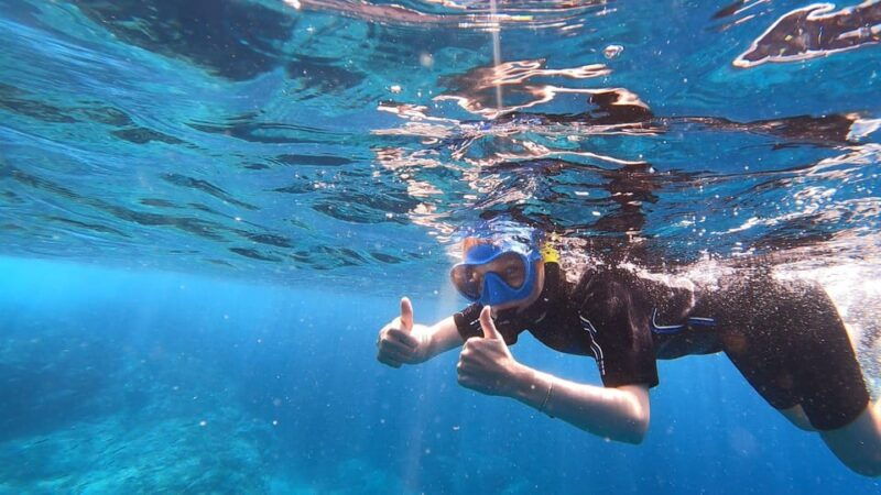 join-us-on-a-snorkel-boat-tour