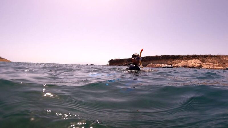 join-us-on-a-snorkel-boat-tour