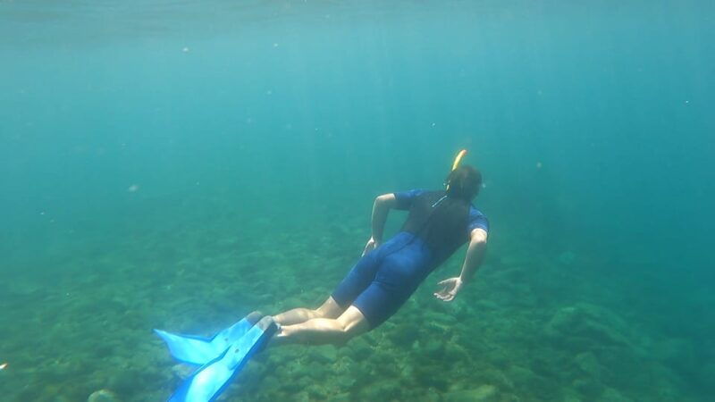 join-us-on-a-snorkel-boat-tour