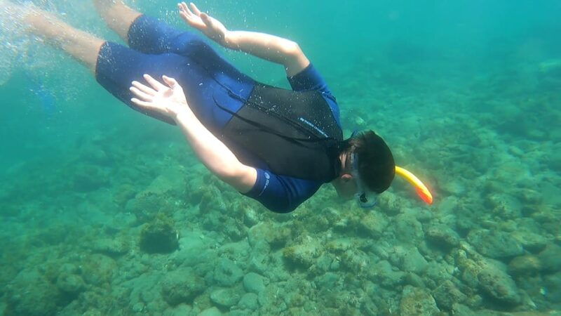 join-us-on-a-snorkel-boat-tour