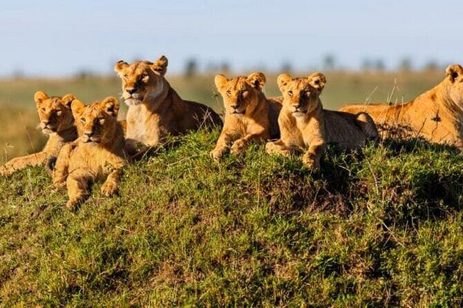 Joining Safari from Mwanza - Guides and Personal Touches