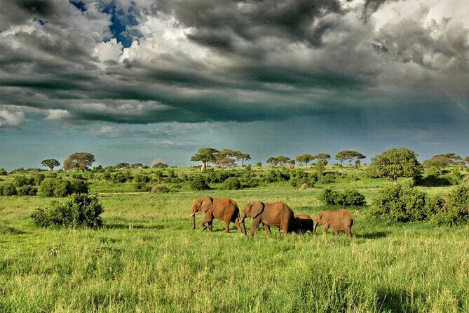 Joining Safari from Mwanza - Final Thoughts: Is This Tour Right for You?