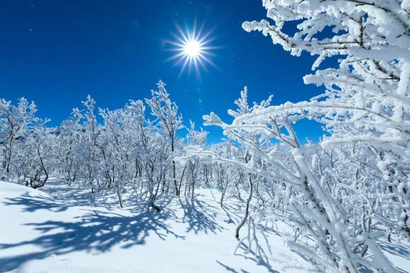 jokkmokk-cryotherapy-siberian-sauna-tent-with-snow-angels