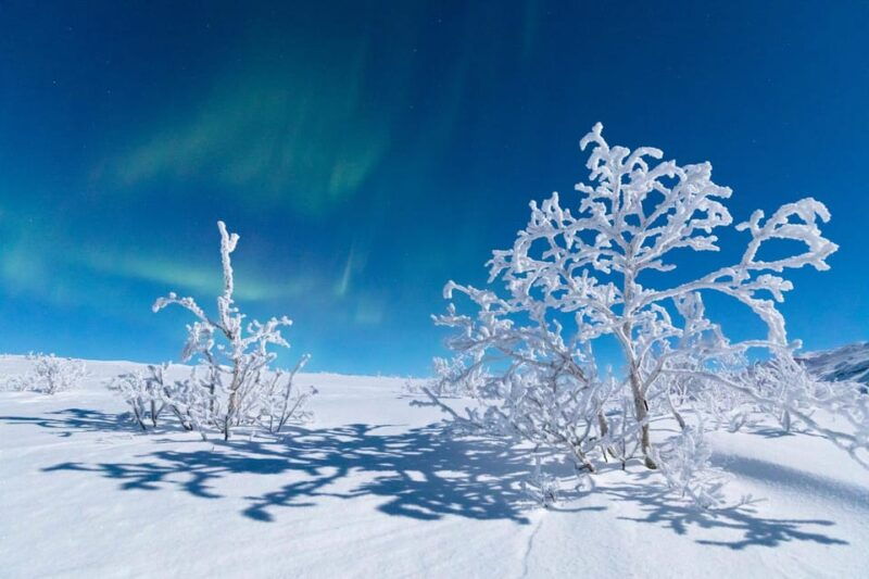 jokkmokk-cryotherapy-siberian-sauna-tent-with-snow-angels
