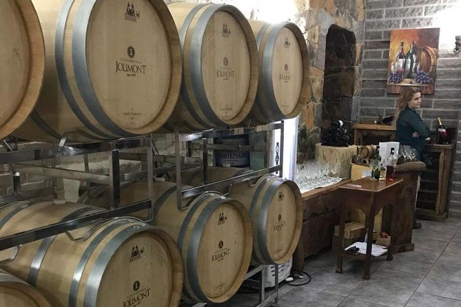 jolimont-winery-tour-visitation-and-tasting-canela-rs