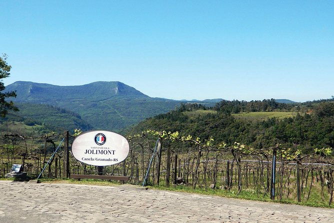 jolimont-winery-tour-visitation-and-tasting-canela-rs