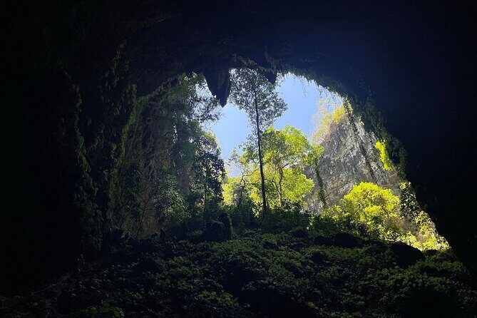 Jomblang and Pindul Cave Small Group Tour With Transfer and Lunch - Exploring Yogyakarta’s Hidden Underground Treasures: Jomblang and Pindul Caves