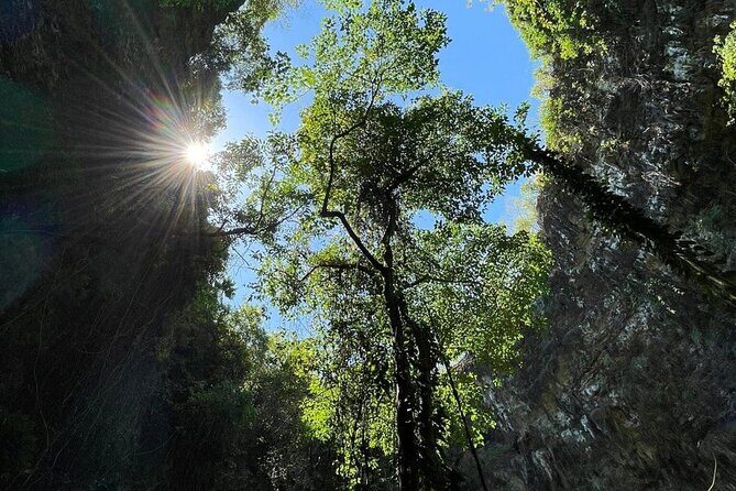 Jomblang and Pindul Cave Small Group Tour With Transfer and Lunch - Key Points