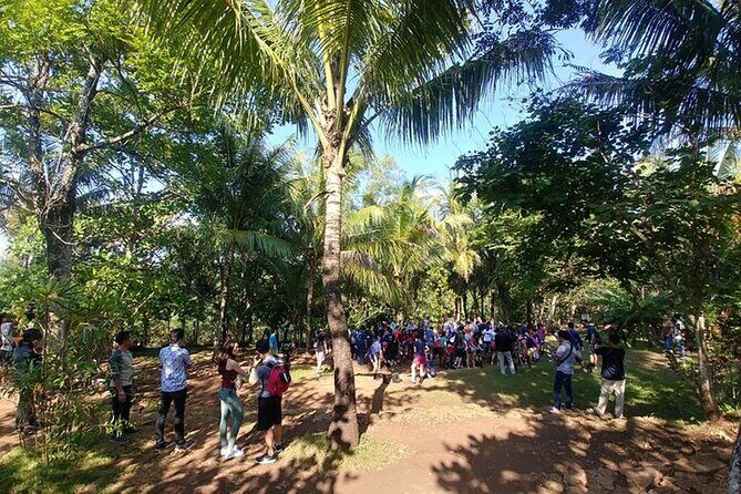 Jomblang and Pindul Cave Small Group Tour With Transfer and Lunch - Final Word