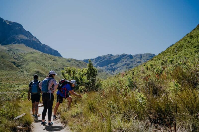 Jonkershoek: Waterfall Hike and 4x4 Safari Ride - Who Is This Tour Best For?