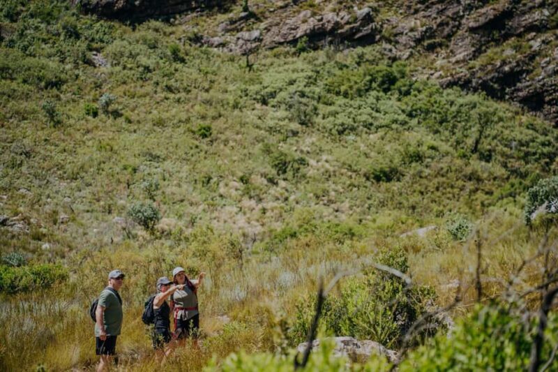 Jonkershoek: Waterfall Hike and 4x4 Safari Ride - The Sum Up