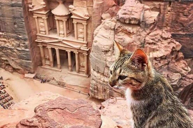 Jordan Family Holiday - Why This Tour Offers Good Value