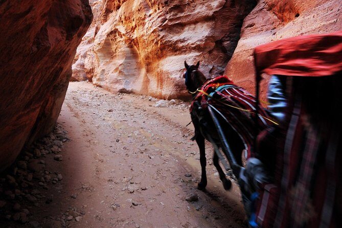 Jordan Private Driver Services | The Jordanian Mappers - The Sum Up