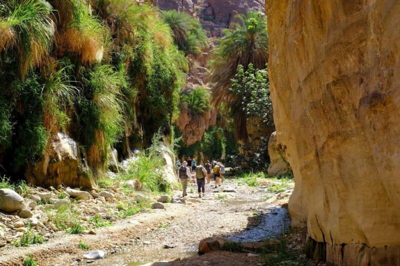 Jordan Trail: Dana to Petra 4-Day Trekking Tour - The Sum Up