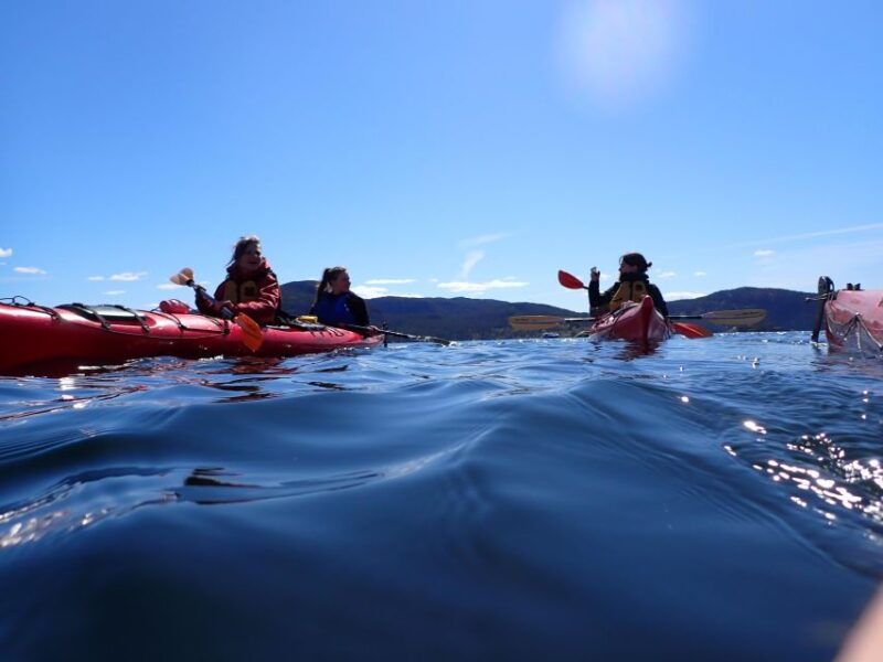 jorpeland-guided-fjord-tour-kayak