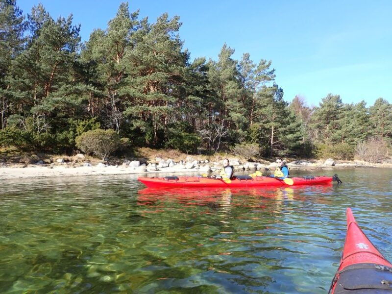 jorpeland-guided-fjord-tour-kayak