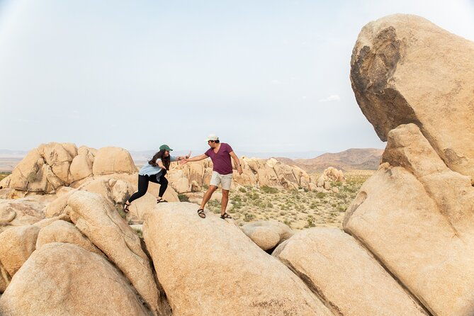 joshua-tree-full-day-private-tour-and-hike