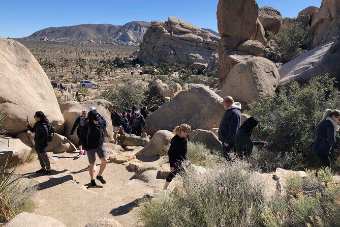 Joshua Tree National Park Driving Tour - First Stop: Keys View – Over 5,000 Feet of Awe