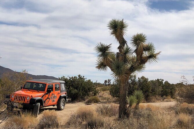 Joshua Tree National Park Offroad Tour - Authentic Experiences and Authenticity