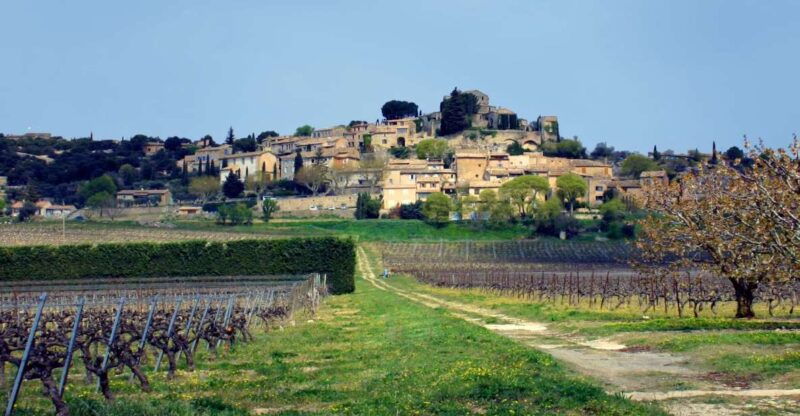 joucas-vineyard-bike-ride