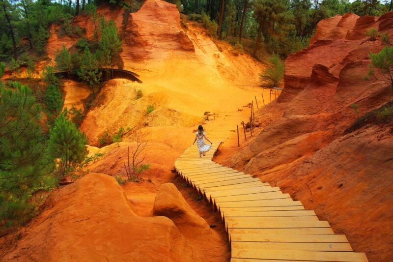 joucas-vineyard-bike-ride