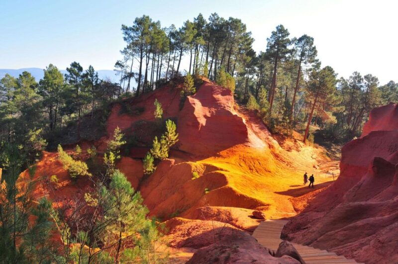 joucas-vineyard-bike-ride