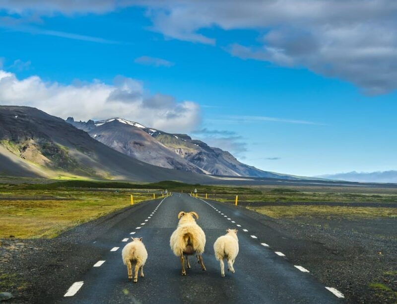 journey-around-iceland-7-day-circle-tour-around-iceland-2