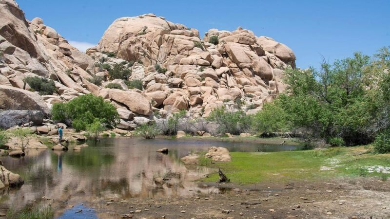 Journey into Joshua Tree: Audio Driving Tour and Local Guide - What Is the Journey into Joshua Tree Tour?