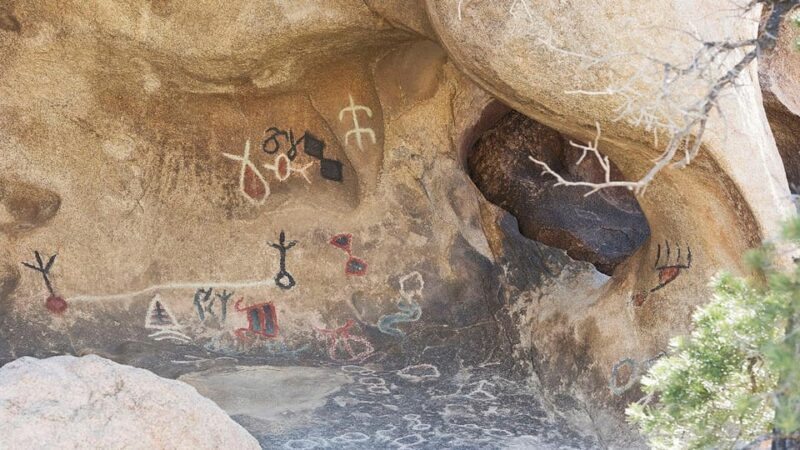 Journey into Joshua Tree: Audio Driving Tour and Local Guide - Practical Details and Tips