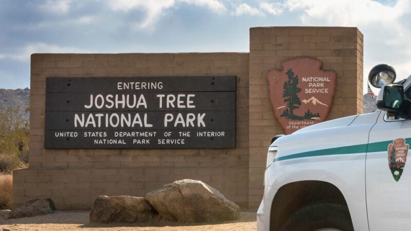 Journey into Joshua Tree: Audio Driving Tour and Local Guide - What Travelers Are Saying