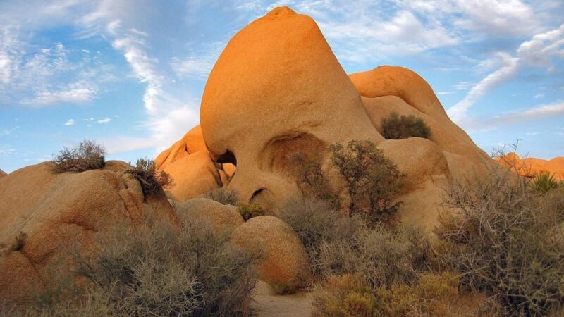 Journey into Joshua Tree: Audio Driving Tour and Local Guide - The Sum Up