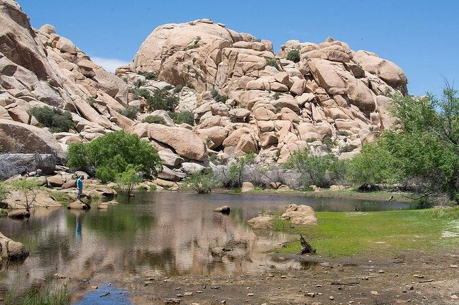 journey-into-joshua-tree-audio-tour-and-locals-guide