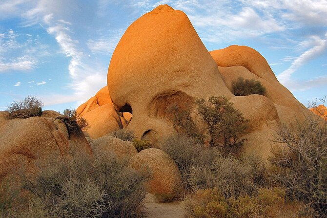 journey-into-joshua-tree-audio-tour-and-locals-guide