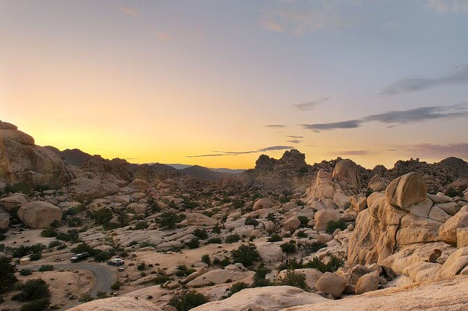 journey-into-joshua-tree-audio-tour-and-locals-guide
