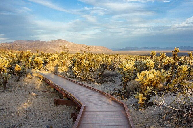 journey-into-joshua-tree-audio-tour-and-locals-guide