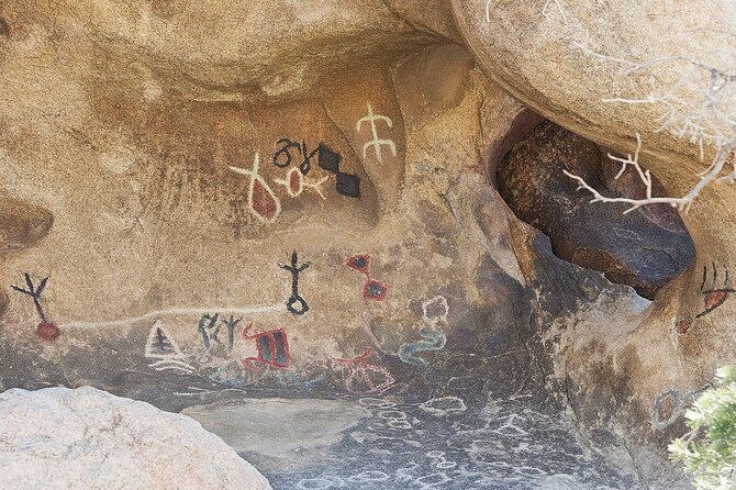 journey-into-joshua-tree-audio-tour-and-locals-guide