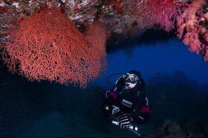 Journey of Diving or Snorkelling from a Boat - An Overview of the Experience